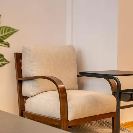 3-bedroom With High Ceilings Appartement Istanboel